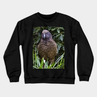 The New Zealand Kea Crewneck Sweatshirt